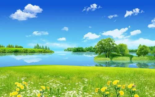 独特全自动节能
